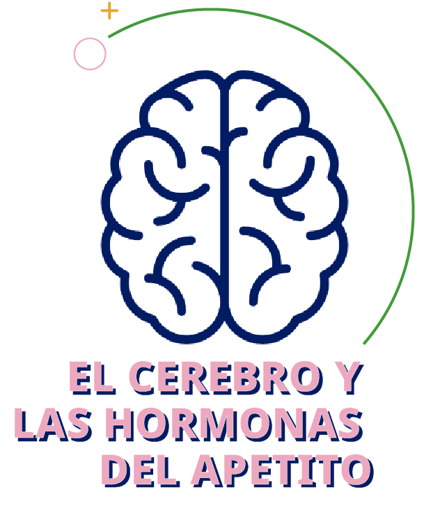 Gráfica de cerebro