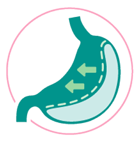 Digestive system icon