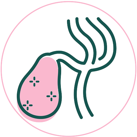 Gallstone icon